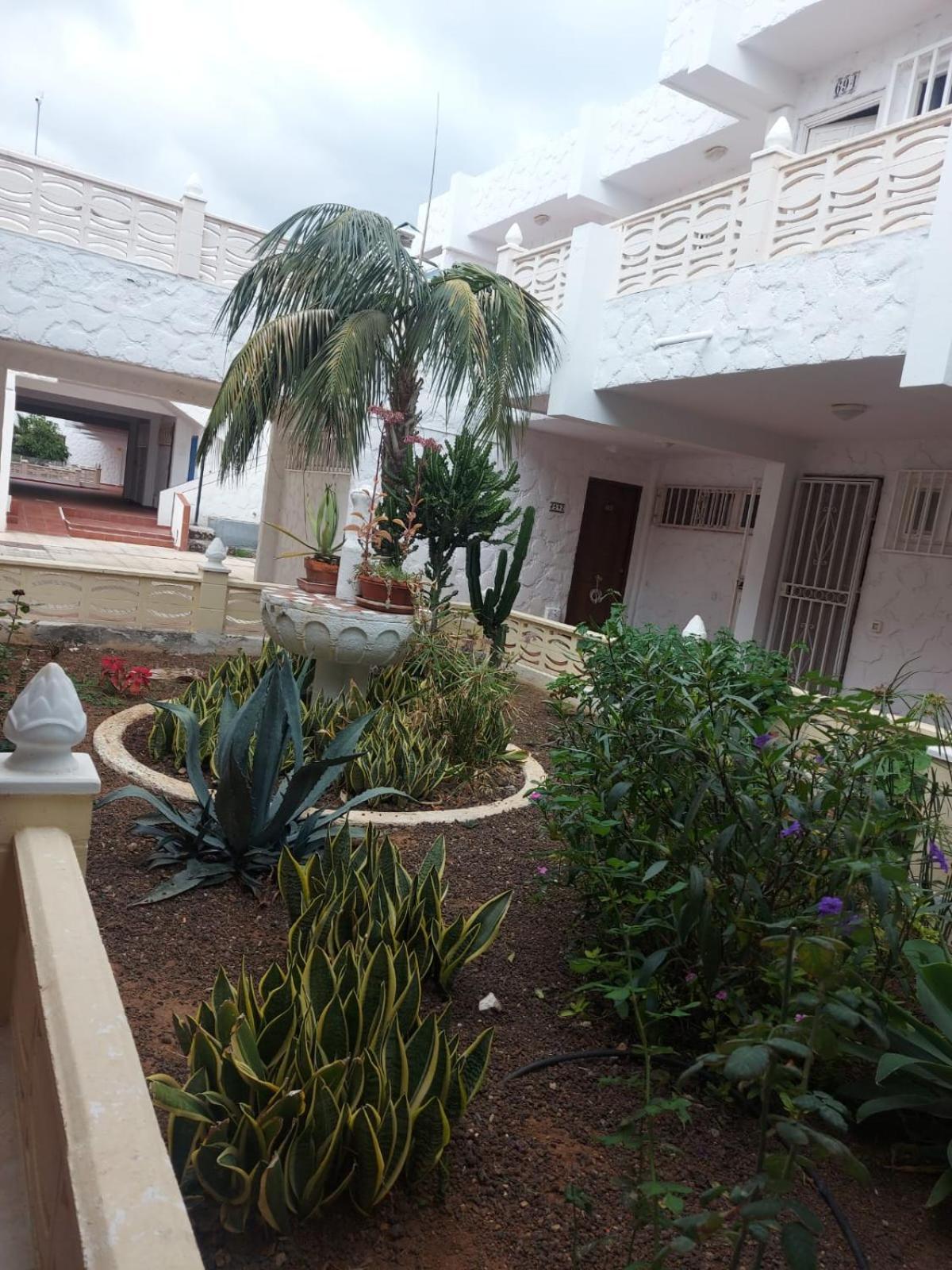 Casa Papagayo Apartment Arona  Ngoại thất bức ảnh
