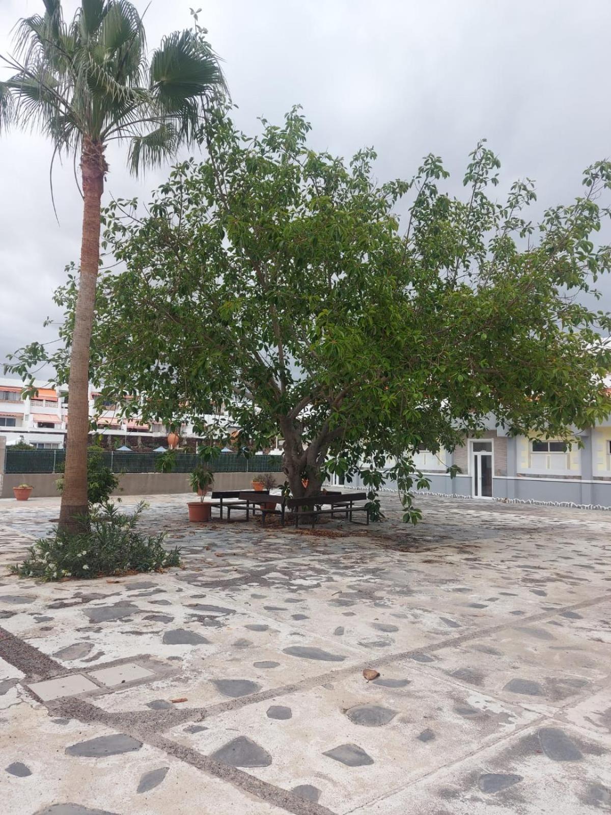 Casa Papagayo Apartment Arona  Ngoại thất bức ảnh